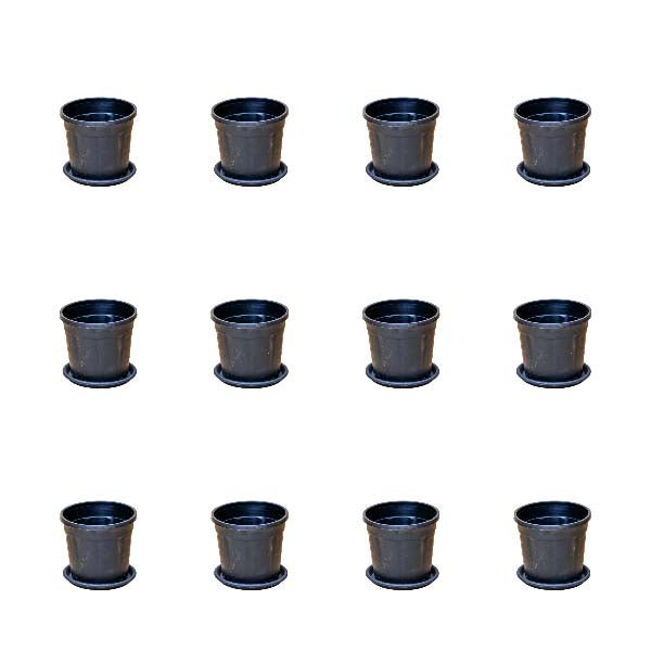 3 inch (8 cm) Grower Round Plastic Pot (Set of 12)(Black)(With Plate)