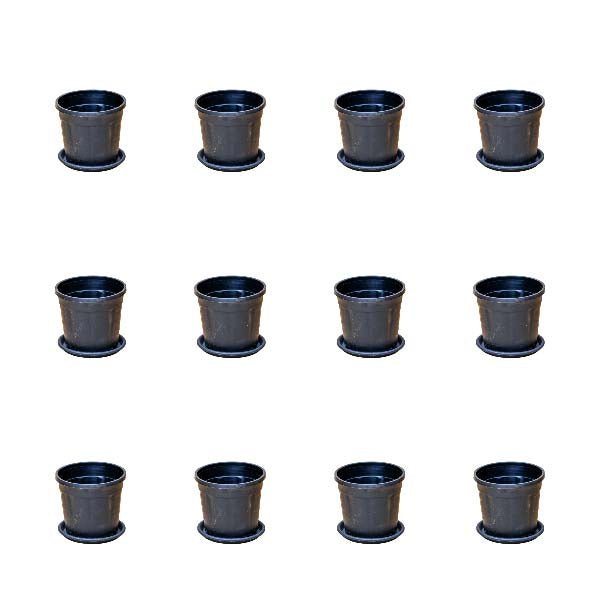 3 inch (8 cm) Grower Round Plastic Pot (Set of 12)(Black)(With Plate)