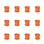 3 inch (8 cm) Grower Round Plastic Pot (Set of 12)(Terracota)(With Plate)