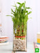 Product image thumbnail 2