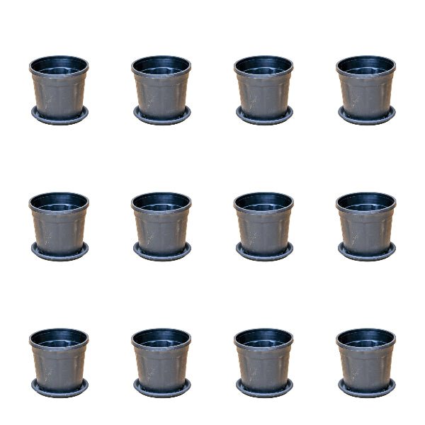 4 inch (10 cm) Grower Round Plastic Pot (Set of 12)(Black)(With Plate)