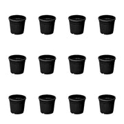 4 inch (10 cm) Grower Round Plastic Pot (Set of 12)(Black)(Without Plate)