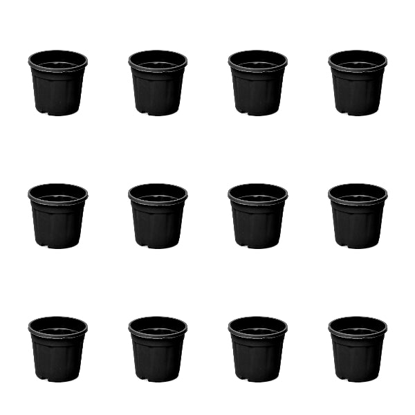 4 inch (10 cm) Grower Round Plastic Pot (Set of 12)(Black)(Without Plate)