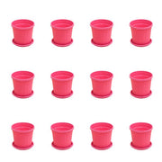 4 inch (10 cm) Grower Round Plastic Pot (Set of 12)(Dark Pink)(With Plate)