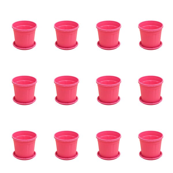 4 inch (10 cm) Grower Round Plastic Pot (Set of 12)(Dark Pink)(With Plate)