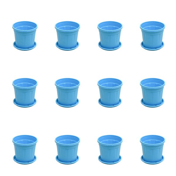 4 inch (10 cm) Grower Round Plastic Pot (Set of 12)(Sky Blue)(With Plate)