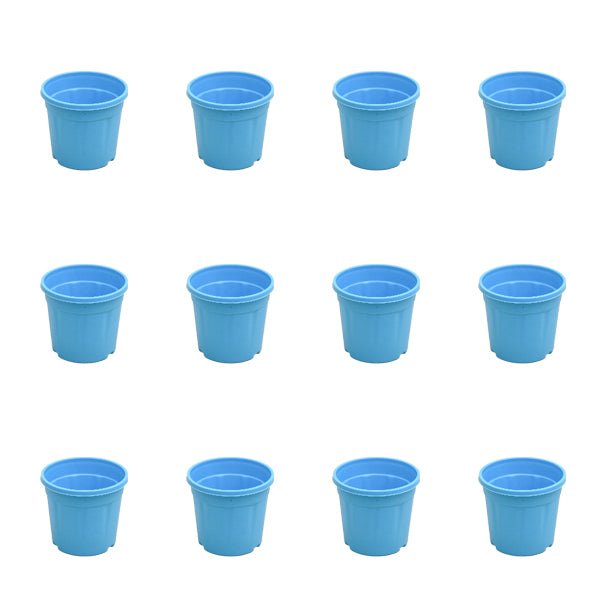 4 inch (10 cm) Grower Round Plastic Pot (Set of 12)(Sky Blue)(Without Plate)
