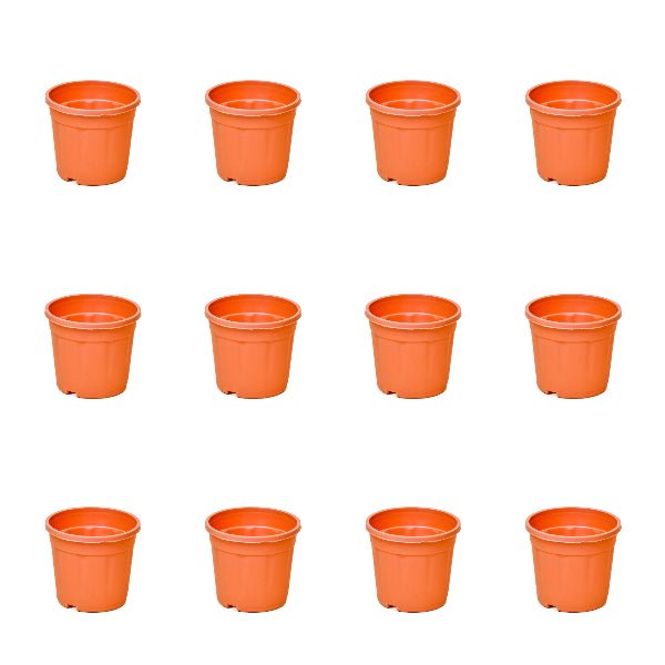 4 inch (10 cm) Grower Round Plastic Pot (Set of 12)(Terracota)(Without Plate)