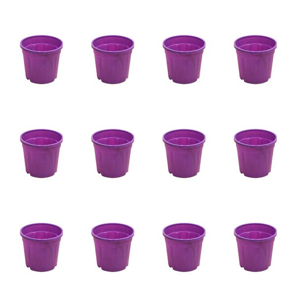 4 inch (10 cm) Grower Round Plastic Pot (Set of 12)(Violet)(Without Plate)