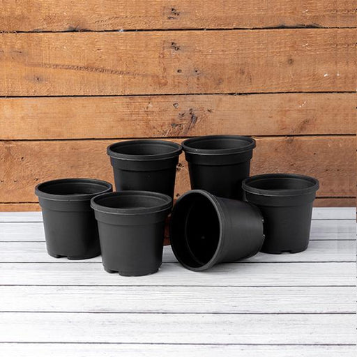4 inch (10 cm) Grower Round Plastic Pot (Set fo 6)(Black)(Without Plate)