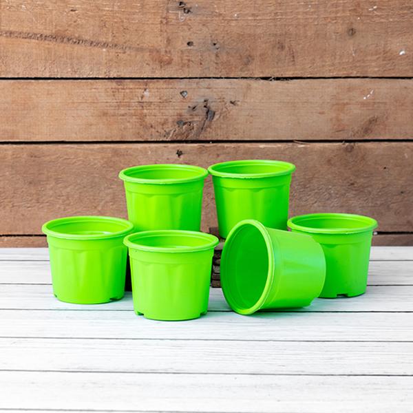 4 inch (10 cm) Grower Round Plastic Pot (Set fo 6)(Green)(Without Plate)