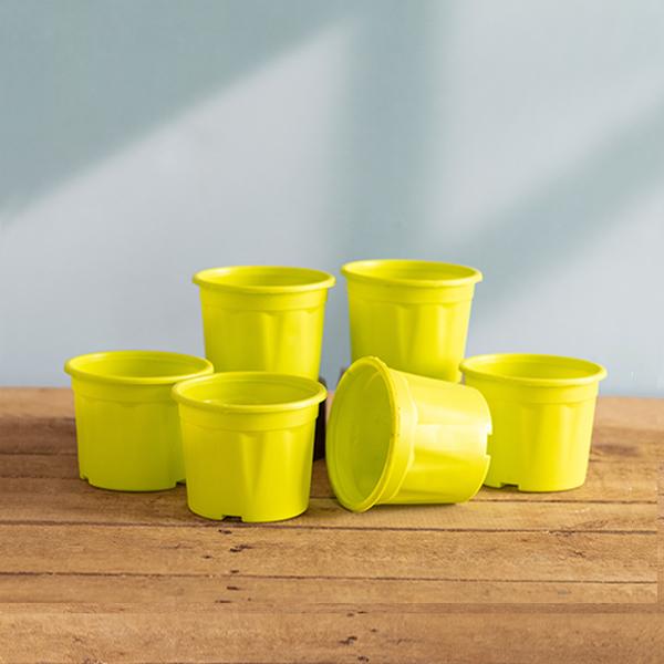 4 inch (10 cm) Grower Round Plastic Pot (Set fo 6)(Lime Yellow)(Without Plate)