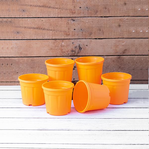4 inch (10 cm) Grower Round Plastic Pot (Set fo 6)(Orange)(Without Plate)