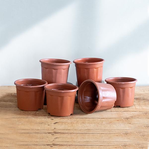4 inch (10 cm) Grower Round Plastic Pot (Set fo 6)(Terracota)(Without Plate)