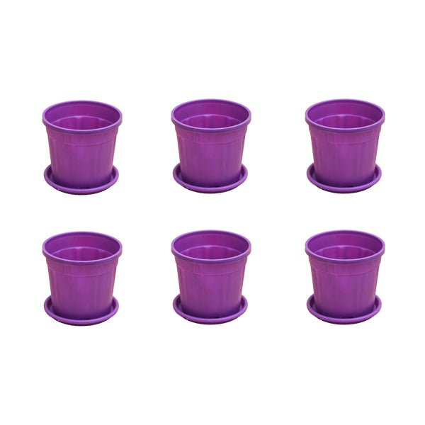 4 inch (10 cm) Grower Round Plastic Pot (Set fo 6)(Violet)(With Plate)