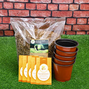 5 best seeds to grow organic vegetables - kitchen garden pack