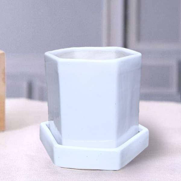 5 inch (12 cm) Hexagon Ceramic Pot with Plate (Set of 1)(White)