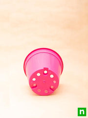 6 inch (15 cm) grower round plastic pot (dark pink) (set of 6) 
