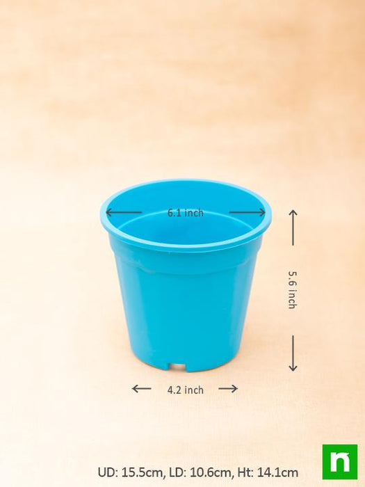 6 inch (15 cm) grower round plastic pot (sky blue) (set of 6) 