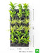 air purifier green wall for indoor space 