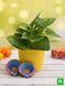 Product image thumbnail 2