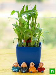 alluring 2 layer lucky bamboo for ac office desk 