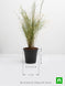 Product image thumbnail 3