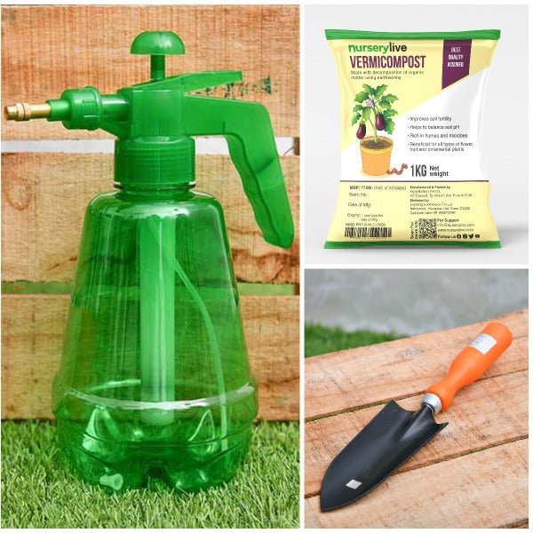 Buy Basic Garden Essentials Kit for Home online from Nurserylive at ...