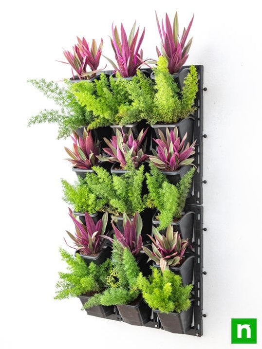 Buy Vertical Garden online from Nurserylive at lowest price.