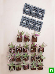 best outdoor plants for vertical garden 