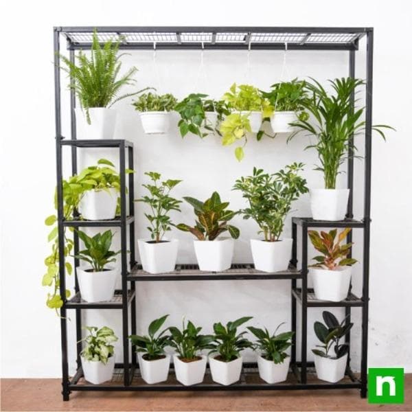 bring eye - catching elegance with plants on metal stand for bright indirect light location