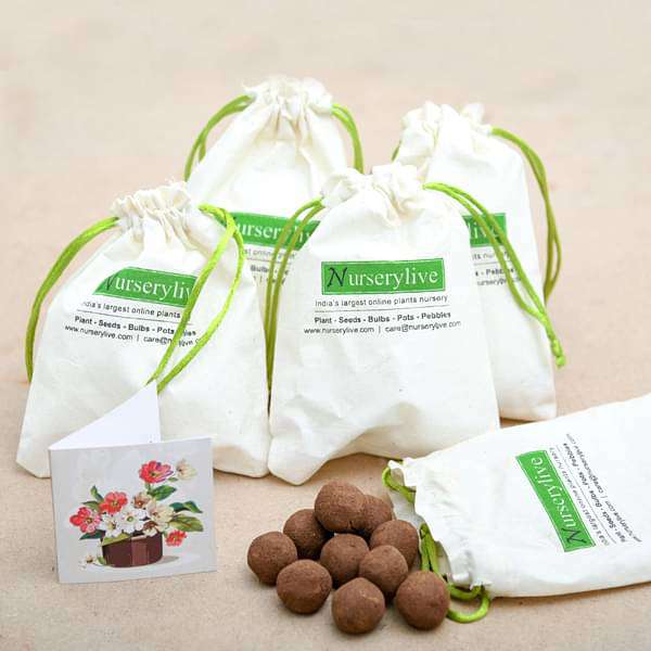 plant seeds for gifts Buy Flowering Seed balls