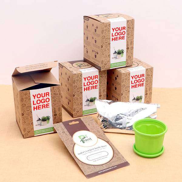 pleasant vinca seeds garden kit - corporate gift (set of 30)