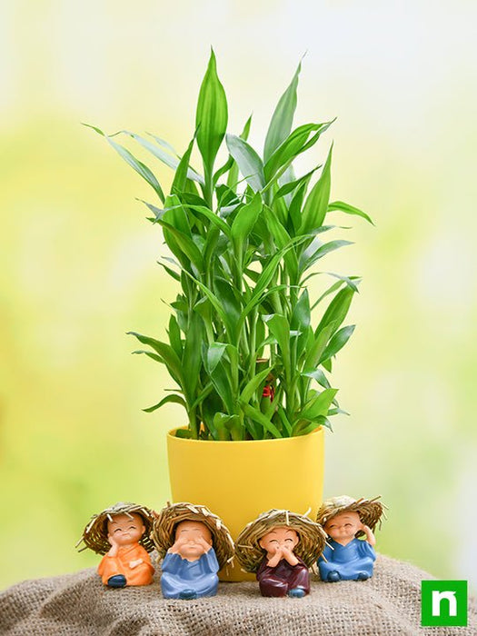 celebrate happiness with 3 layer lucky bamboo and cute monks 