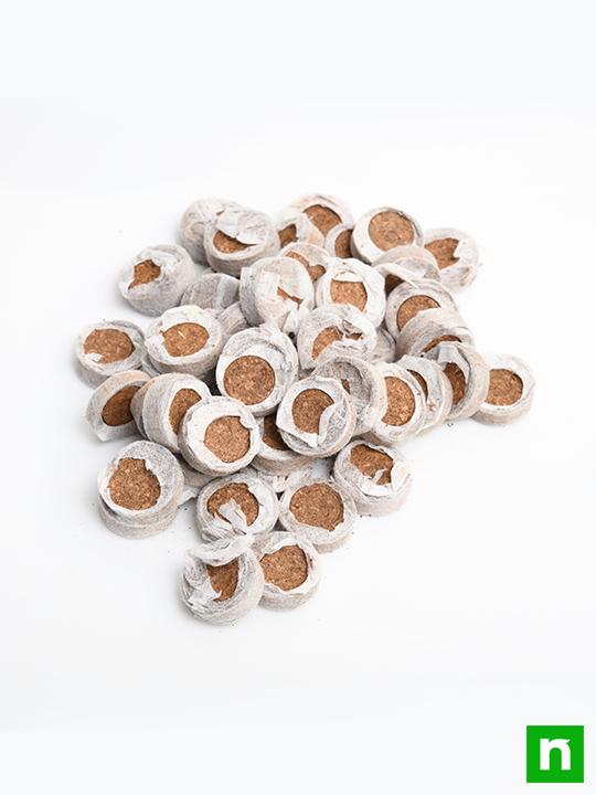 coir coin (netted 
