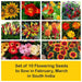 set of 10 flowering seeds to sow in february 