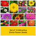 set of 10 attractive zinnia flower seeds 