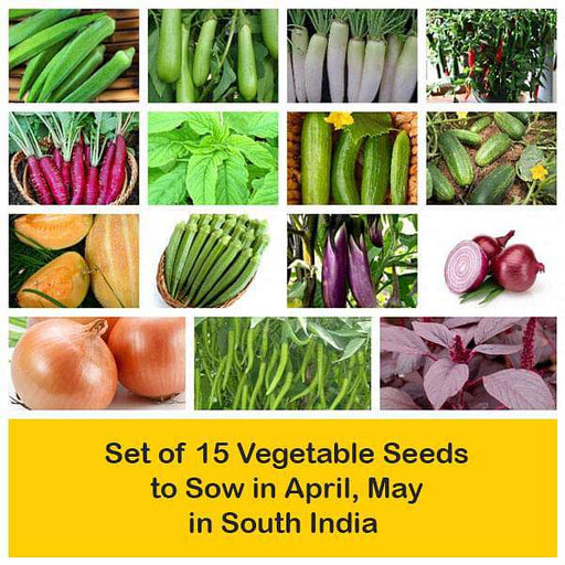 set of 15 vegetable seeds to sow in april 