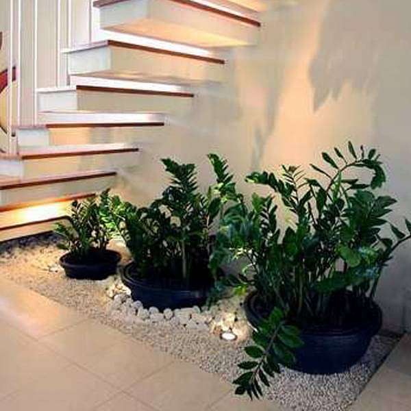 stones for indoor plants Buy DIY Stone Decoration around the Planter online from Nurserylive at lowest price