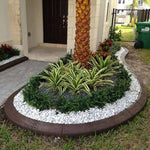 Buy Pebbles Border around Plants online from Nurserylive at lowest price.