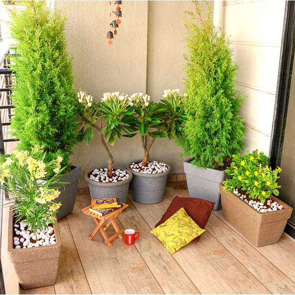 create a green corner with gardening in balcony 