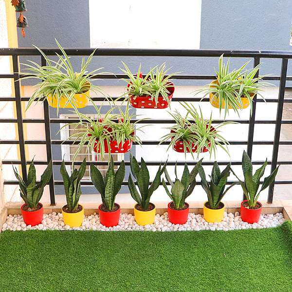 create greenery around you in a balcony with garden plants 