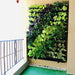 green wall for one side closed balcony garden 
