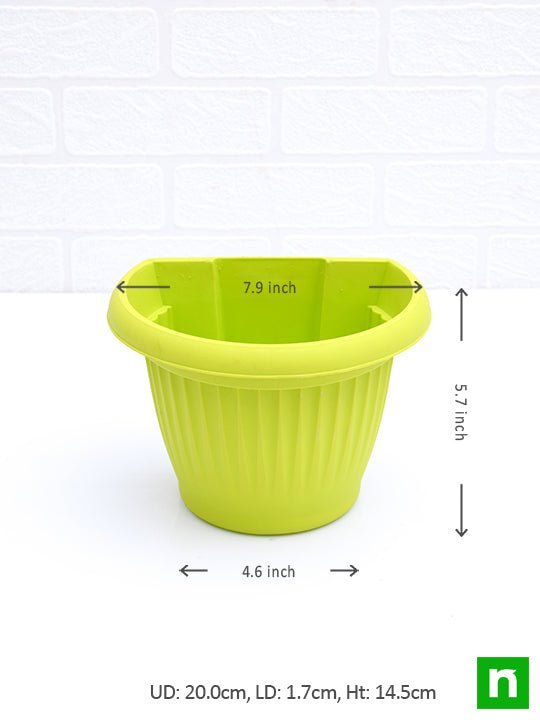 7.9 inch (20 cm) bello wall mounted d shape plastic planters (mix color) - pack of 6