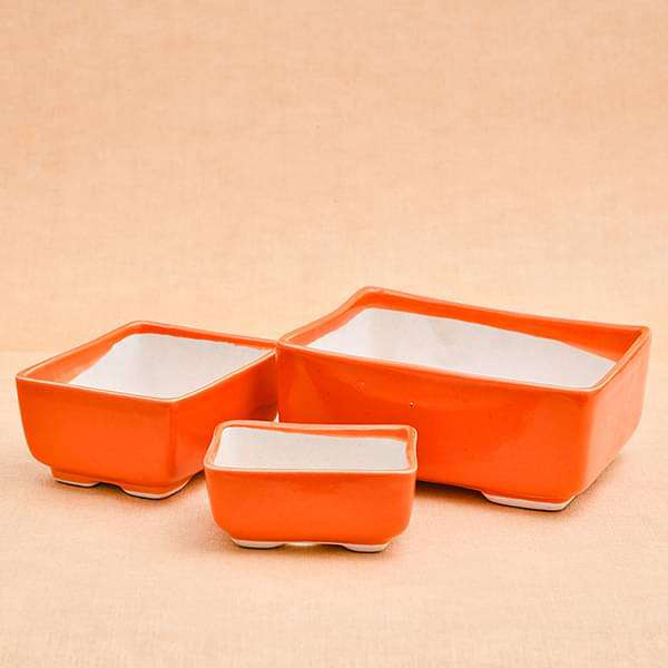 bonsai rectangle ceramic pots - pack of 3