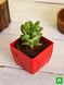 Product image thumbnail 2