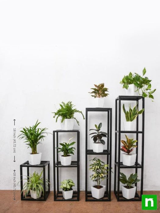 create greenery with houseplants on metal stand in indirect bright light 