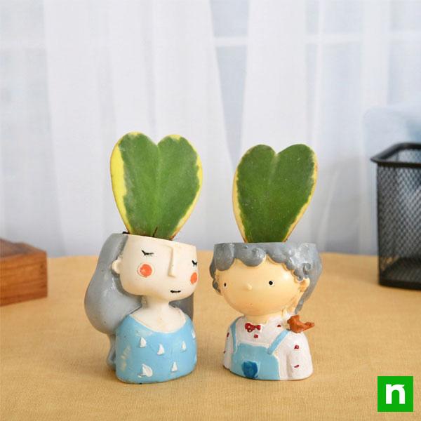 cute couple with heart shape hoya plant 