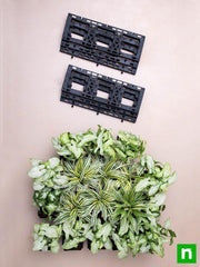 decorate indoor space with green vertical garden at home 