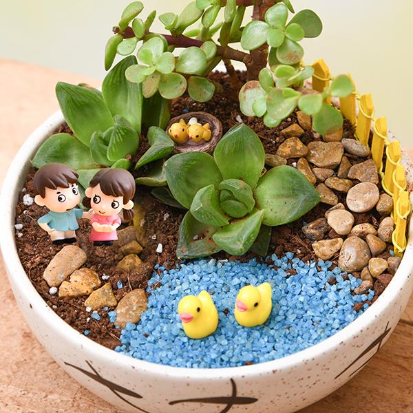 DIY Pleasant Morning Miniature Garden1